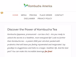 Kombuchaamerica