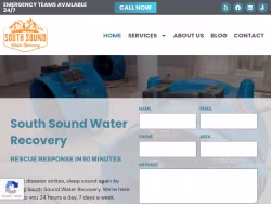 Southsoundwaterrecovery
