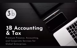 3B Accounting & Tax: Global Enterprise Advisors Division