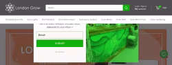 Londongrow