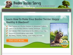 Borderterriersavvy