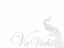 Vavichionline