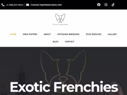 Efrenchies