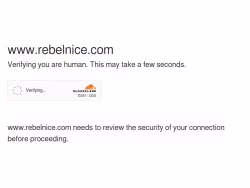 Rebelnice