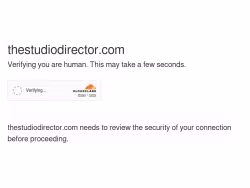 Thestudiodirector