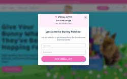 Bunny FunBox