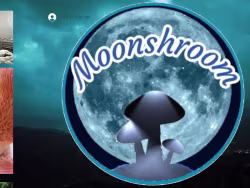Moonshroom logo
