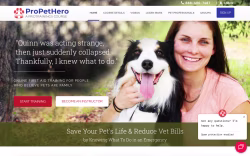 Catanddogfirstaid