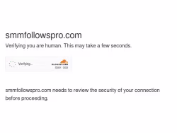 Smmfollowspro