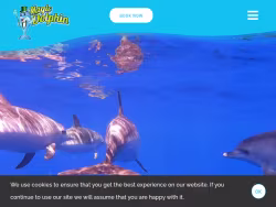 Magic-dolphin