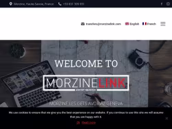 Morzinelink