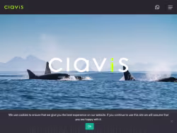 2clavis