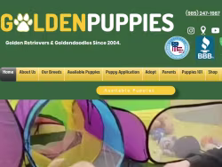 Goldenpuppies