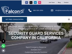 Falconxsecurity