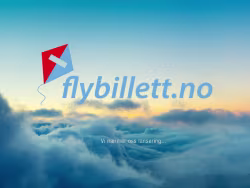 Flybillett