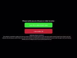Nichepornsites