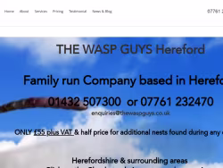 Thewaspguys