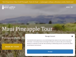 Mauipineappletour