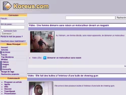 Koreus