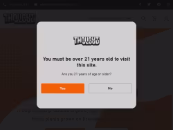 Thoughtcloud