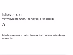 Tulipstore