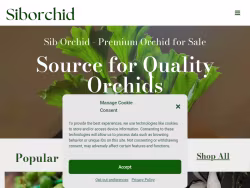 Siborchid