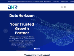 Datahorizzonresearch