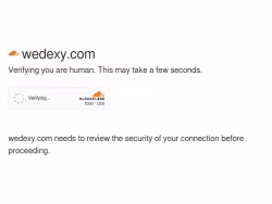 Wedexy