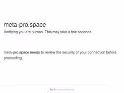 Meta-pro