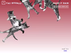 Cat-bounce