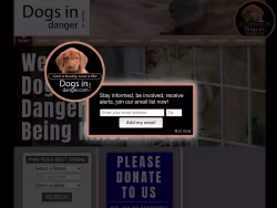 Dogsindanger
