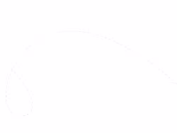 Realplaylists