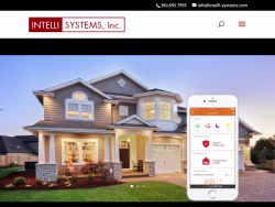 Intelli-systems