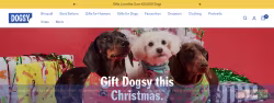 Dogsy