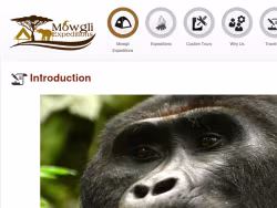 Mowgliexpeditions