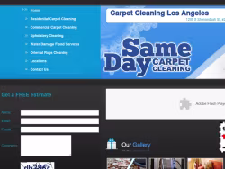 Sameday-carpetcleaning
