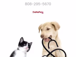 Domopetsusa