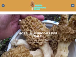 Morelmushroomsforsale