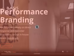 Thebasis