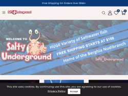 Saltyunderground