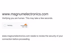 Magnumelectronics