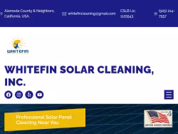 Whitefincleaning