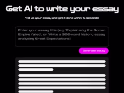 Essaywriter