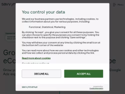 Savvyrevenue