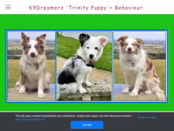 K9dreamers