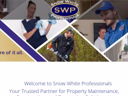 Swprofessionals