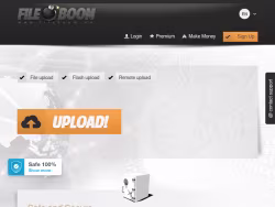 Fboom