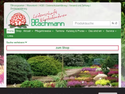 Hachmann