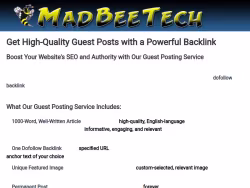 Madbeetech