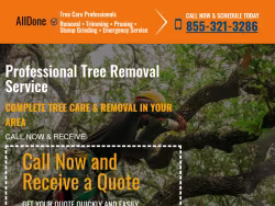 Treeservice-sanantonio